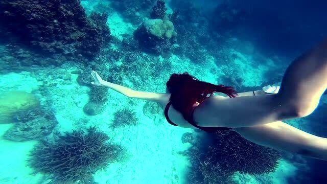 逃离死亡岛